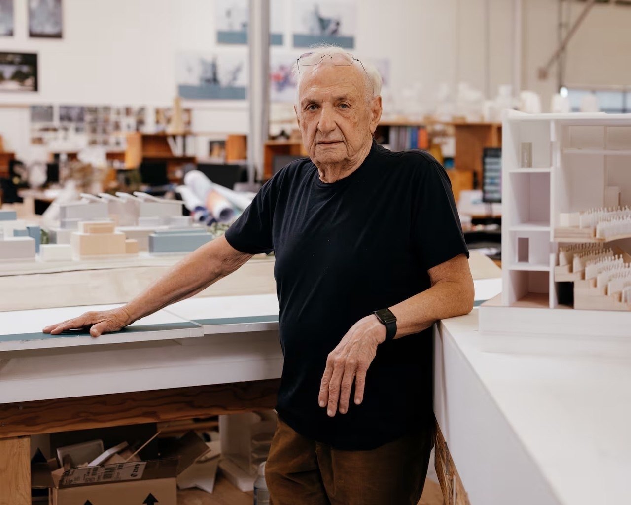 Frank Gehry (MIT Stata Center)