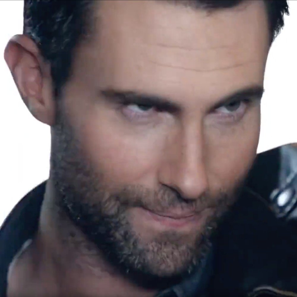 Adam Levine Collection